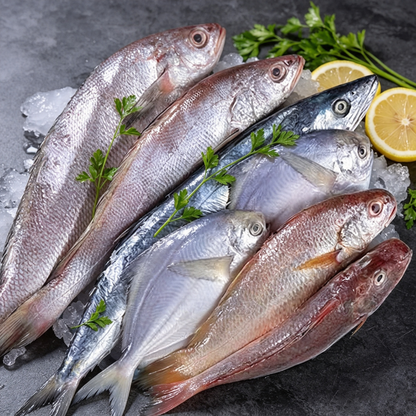 Assorted Fresh Fish