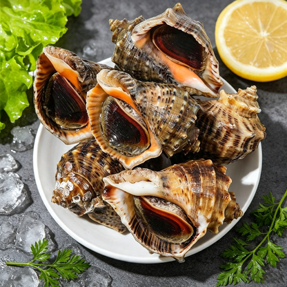 Fresh Sea Snail